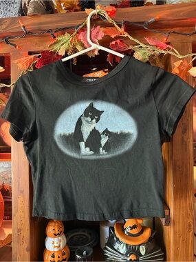 Kitty crop